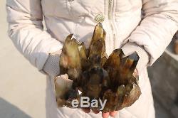 3300g Naturel Belle Citrine Smoke Quartz Crystal Cluster Spécimen Tibétain