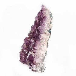 3350g Natural Amethyst Mineral Specimen Quartz Crystal Cluster Décoration Cadeau