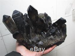 3707g Rare Naturel Beau Noir Quartz Crystal Cluster Spécimen Tibétain #