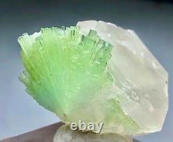 383 Ct Amazing Tourmaline Crystals Bunch Avec Quartz D'afghanistan