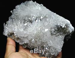4.03lb Clear Natural Chrysanthème Blanc Quartz Crystal Cluster Spécimen / Stand