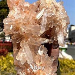 4.1lb Top Cristal Naturel Cristal Transparent Cristal Cluster Minéral Spécimen