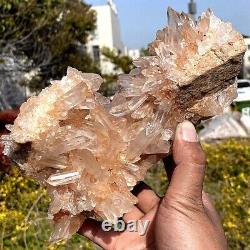4.1lb Top Cristal Naturel Cristal Transparent Cristal Cluster Minéral Spécimen