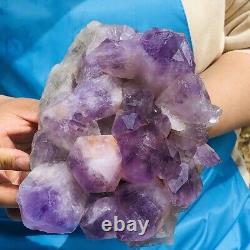 4.42LB Améthyste Naturelle Amas de Quartz Violet Cristal Spécimen Minéral Rare 493
