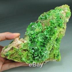 4.5lbs Green Apple Pyromorphite Loaded Cristal Cluster Bonne Affaire Pye0217