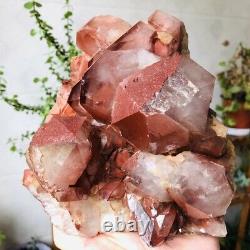 4.9lb Rare Naturel Rouge Fantôme Quartz Cristal Cluster Rough Mineral Specimens