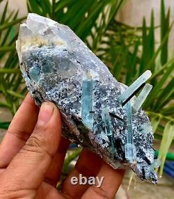 401 Grammes Terminé Bleu Aquamarine Noir Tourmaline Bunch On Quartz Crystal