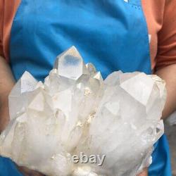 4010G Cluster de quartz clair naturel spécimen minéral de cristal guérit