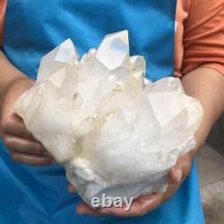 4010G Cluster de quartz clair naturel spécimen minéral de cristal guérit