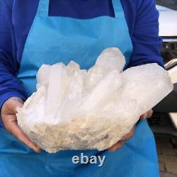 4050G Groupe de cristaux de quartz clair naturel spécimen minéral guérit 2004
