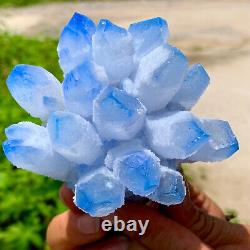 413G Nouvelle trouvaille de grappe de cristaux de quartz bleu Phantom spécimen minéral de guérison.