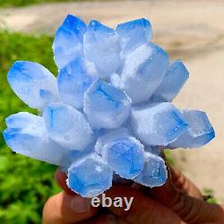 413G Nouvelle trouvaille de grappe de cristaux de quartz bleu Phantom spécimen minéral de guérison.