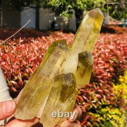 429g Citrine Naturelle Cristal Quartz Cluster Mineral Specimen Healing