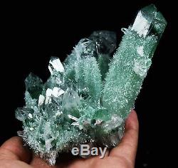 435g Nouveau Trouver Vert Phantom Cristal De Quartz Grappe Minérale Des Échantillons De Guérison