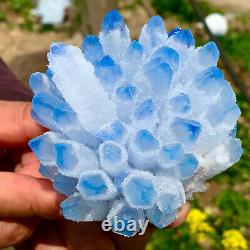 442g Nouveau Trouver Ciel Bleu Phantom Quartz Cristal Cluster Mineral Specimen Healing