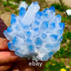 442g Nouveau Trouver Ciel Bleu Phantom Quartz Cristal Cluster Mineral Specimen Healing
