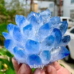 456G Nouvelle découverte de grappe de cristaux de quartz bleu Phantom spécimen minéral de guérison