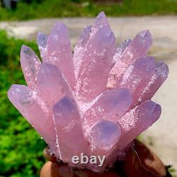 460G Nouvelle trouvaille Cluster de cristaux de quartz rose Phantom Spécimen minéral de guérison