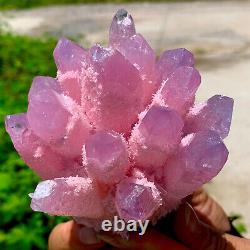 464G Nouvelle trouvaille de grappe de cristaux de quartz rose Phantom spécimen minéral de guérison