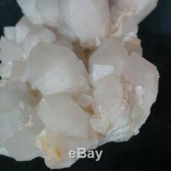 47.4lb 15,3 Clair Blanc Naturel Cristal De Quartz Cluster Points De Guérison D'origine