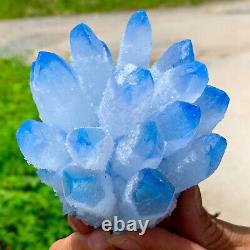 475G Nouvelle trouvaille bleue de cristal de quartz fantôme en grappe spécimen minéral de guérison.