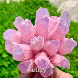 490G Nouveau Cluster de cristaux de quartz rose Phantom récemment découvert.