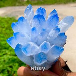 491G Nouvelle découverte de grappe de cristaux de quartz bleu de la variété Phantom spécimen minéral de guérison