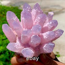 494G Nouvelle trouvaille Cluster de cristaux de quartz rose spécimen minéral de guérison.