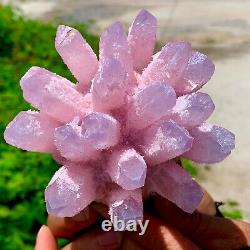 494G Nouvelle trouvaille Cluster de cristaux de quartz rose spécimen minéral de guérison.