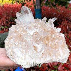 5.23lb Top Cristal Naturel Cristal Transparent Cristal Cluster Minéral Spécimen
