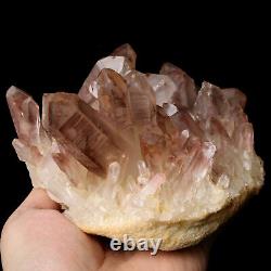 5.25lb Cristal De Quartz Rouge Clair Naturel Cluster De Point De Guérison Des Spécimens Minéraux