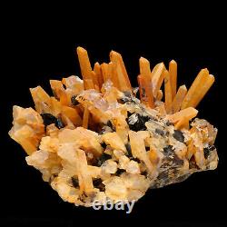 5.35lb Cluster En Cristal Jaune Naturel Et Forme De Fleur Specilarite Minéral Specimen