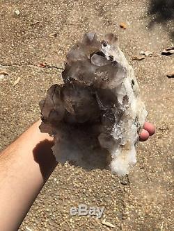 5.4lb Big Smokey Quartz Crystal Cluster Diamond Hill Mine Sc