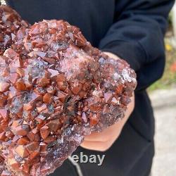 5,5LB Améthyste Naturelle en Grappe à Coiffe Rouge - Spécimen Minéral - Cristal de Quartz Guérison