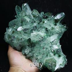 5,69 lb RARE ! Nouvelle trouvaille spécimen de grappe de cristaux de quartz vert naturel et magnifique.