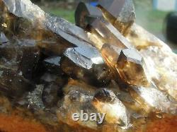 5.7 Lb Natural Smoky Black Quartz Cristal Cluster Mineral Specimen