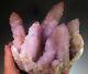 5.75 Amethyst Cactus Naturel Spirit Quartz Cluster Afrique Du Sud # 0085