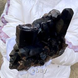 5.7LB Beau spécimen minéral de grappe de cristaux de quartz noir naturel