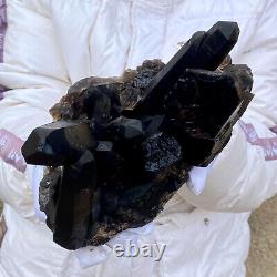 5.7LB Beau spécimen minéral de grappe de cristaux de quartz noir naturel