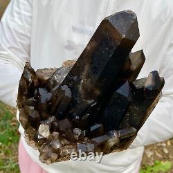 5.7LB Cluster de spécimen minéral de quartz de thé noir naturel de guérison reiki