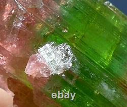 50 Gram Top Qualité St Gemmy Multicolors Double Bunch Type Tourmaline Cristal