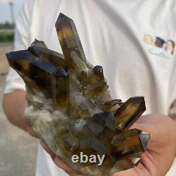 506g Groupe de cristaux de quartz fumé noir naturel de première qualité, spécimen minéral brut