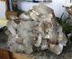 53.9lb Aaa Clear Natural White Quartz Crystal Cluster Specimen + Amethyst