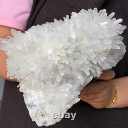 5560g A+++ Natural Himalaya Quartz Cristal Cluster Récipient Minéral Guérison 381