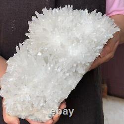 5560g A+++ Natural Himalaya Quartz Cristal Cluster Récipient Minéral Guérison 381