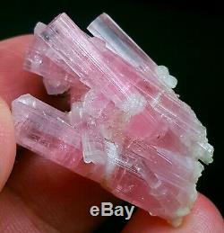 58 Ct Rare- Microlite Double Terminé Couleur Rose Tourmaline Crystal Bunch