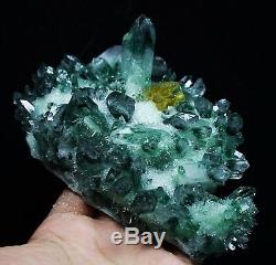 584g Nouveauté Trouver Un Spécimen De Grappes De Cristal De Quartz Fantôme Tibétain Vert Magnifique