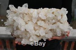 5900g Beau Spécimen De Cluster De Quartz Blanc Cristal Clair Naturel Tibétain # 5009