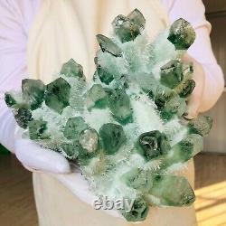 6.0lb Trouver Vert Phantom Quartz Crystal Cluster Mineral Specimen Healing F859