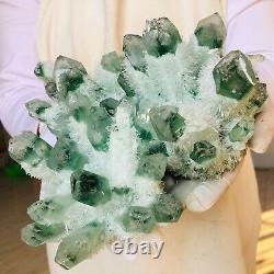 6.0lb Trouver Vert Phantom Quartz Crystal Cluster Mineral Specimen Healing F859